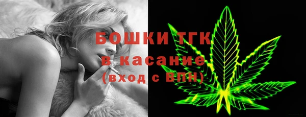 гашик Пересвет