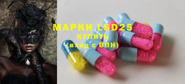 гашик Пересвет