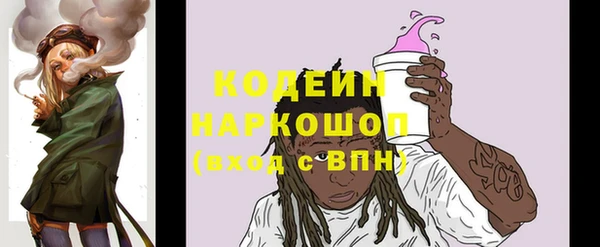 гашик Пересвет