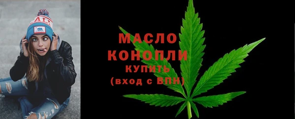 гашик Пересвет