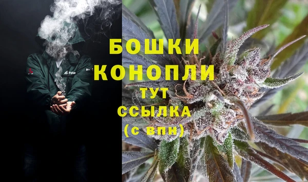 гашик Пересвет