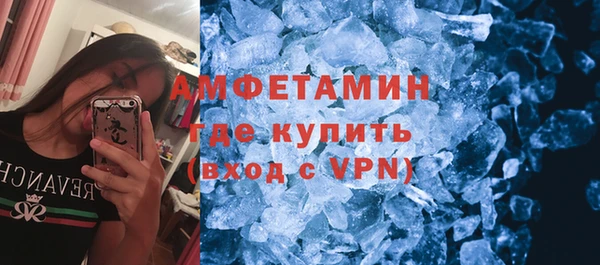 гашик Пересвет