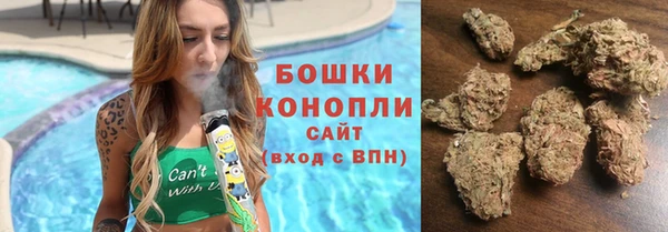 мдпв Покачи