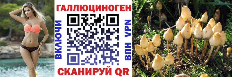 Псилоцибиновые грибы ЛСД  omg зеркало  Баксан 