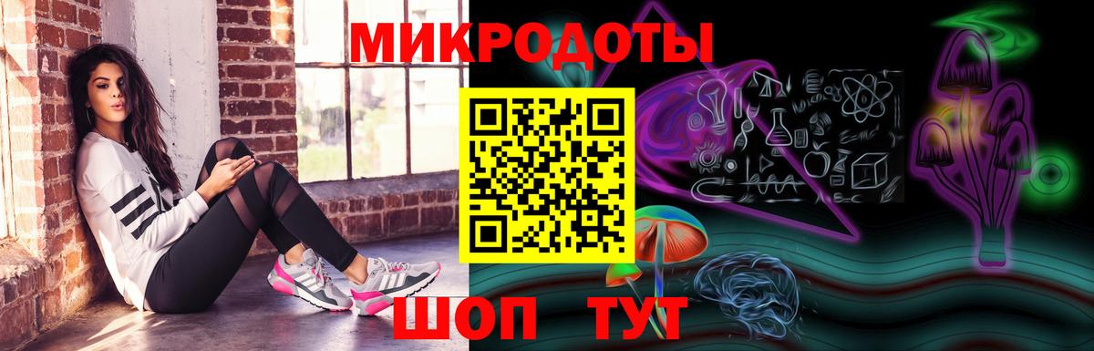 Баксан  Псилоцибиновые грибы Cubensis  Вход с VPN 